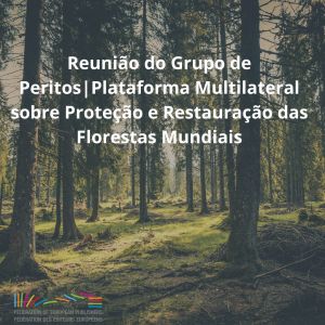 Reunião da Plataforma Multilateral | Proteção e Restauração das Florestas Mundiais