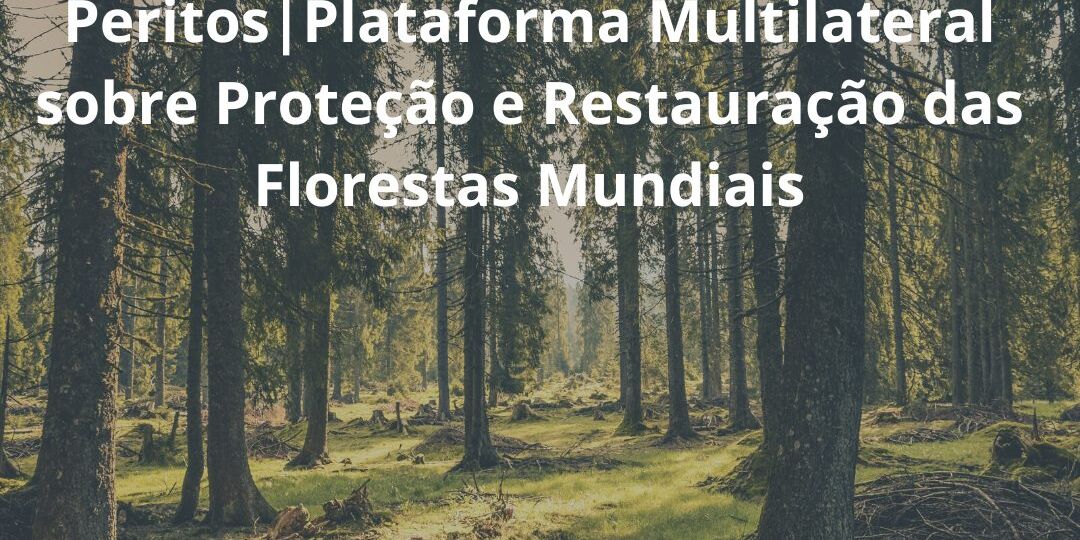 Reunião do Grupo de PeritosPlataforma Multilateral sobre Proteção e Restauração das Florestas Mundiais_quadrado